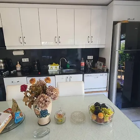 House Albatros Apartment