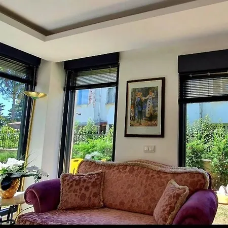 House Albatros
