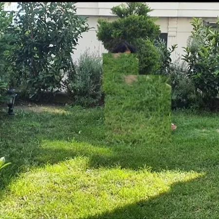 House Albatros * Büyükçekmece